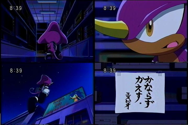  Information about Knuckles Chaotix and the Sonic X  cartoon